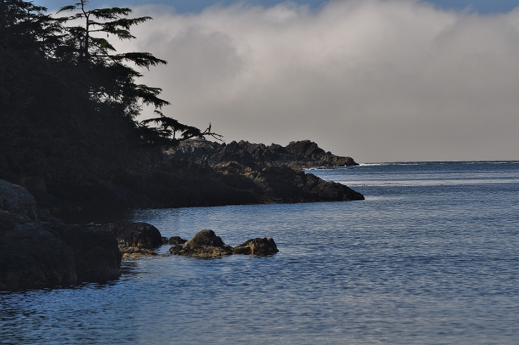 rugged coastline